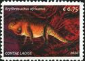 Erythrosuchus africanus