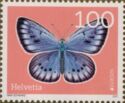 Scarce Large Blue (Phengaris teleius)