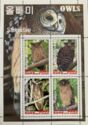 Owls