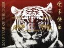 Year of the Tiger