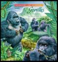 Eastern Gorilla (Gorilla beringei)