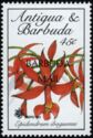 Epidendrum ibaguense - Overprinted