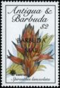 Sacoila lanceolata - Overprinted