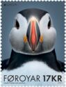 Atlantic Puffin (Fratercula arctica)