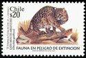 Geoffroy's Cat (Oncifelis geoffroyi) 