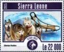 Siberian Huskies