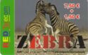 Zebra - Red Telecom