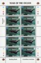 Basking Shark (Cetorhinus maximus) (mini sheet)