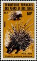 Mountain Forest Porcupine (Hystrix galeata ambigua)