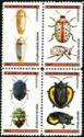 Insects
