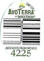 AvoTerra by Index Fresh #4225