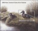 New Zealand shoveler (Spatula rhynchotis variegata)