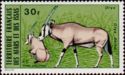 Beisa (Oryx beisa)