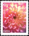 Dahlias (from Booklet Pane)