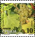 Grapes, Vitis vinifera L. (2021)