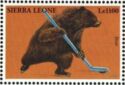 Brown Bear (Ursus arctos) playing Hockey