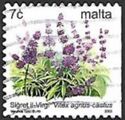 The Virgin Bush (Vitex agnus-castus)