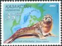 Caspian Seal (Phoca caspica)