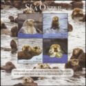 Sea Otter