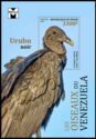 Birds of Venezuela - Black Vulture (Coragyps atratus)