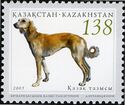 Kazakh Tazy (Canis lupus familiaris)
