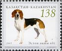 Estonian Beagle (Canis lupus familiaris)
