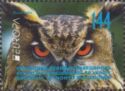 Eurasian Eagle-Owl (Bubo bubo)