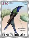 Swallow-tailed Hummingbird (Eupetomena macroura)