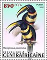 Many-banded Aracari (Pteroglossus pluricinctus)