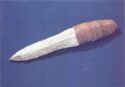 Charavines : Neolithic village of bathers, flint dagger with wooden handle