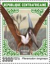 Pteranodon longiceps