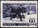 Cross Country Skiing - Overprint
