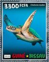 Green Sea Turtle (Chelonia mydas)