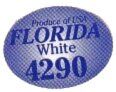 Forida white 4260