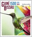Sword-billed Hummingbird (Ensifera ensifera)