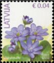 Liverleaf (Hepatica nobilis)