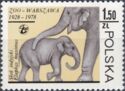 Asian Elephant (Elephas maximus)
