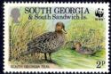 South Georgia Teal (Anas georgica) - Adult and young