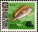 Sweetlips (Gaterin gaterinus)