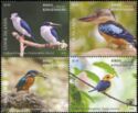 Birds - Kingfishers