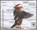 Mandarin Duck (Aix galericulata)