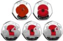 50 Pence (Set 5 x 50 Pence Silver 100 years of the Royal British Legion)