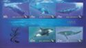 Whales 2010 (Imperforate) souvenir sheet