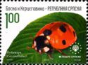Seven-Spot Ladybird (Coccinella septempunctata)