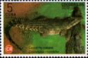 Cuban Crocodile (Crocodylus rhombifer)