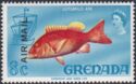 Red snapper (Lutjanus ata)
