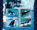 The Orcas