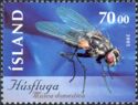 Housefly (Musca domestica)