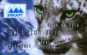 Bank of Asia. Snow Leopard