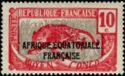 Leopard (Panthera pardus) overprint